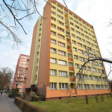 Skorochód Majewskiego 15 B *